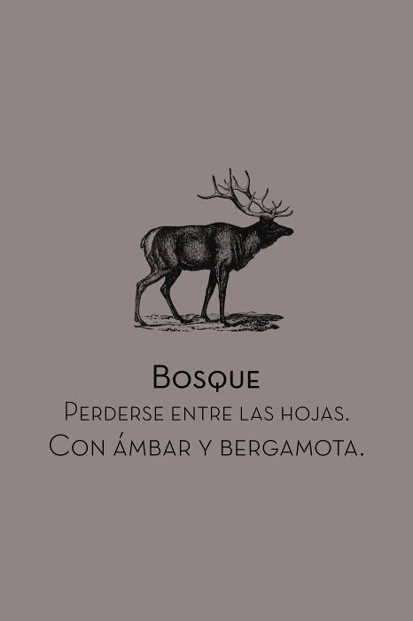 Ambientador hogar bosque