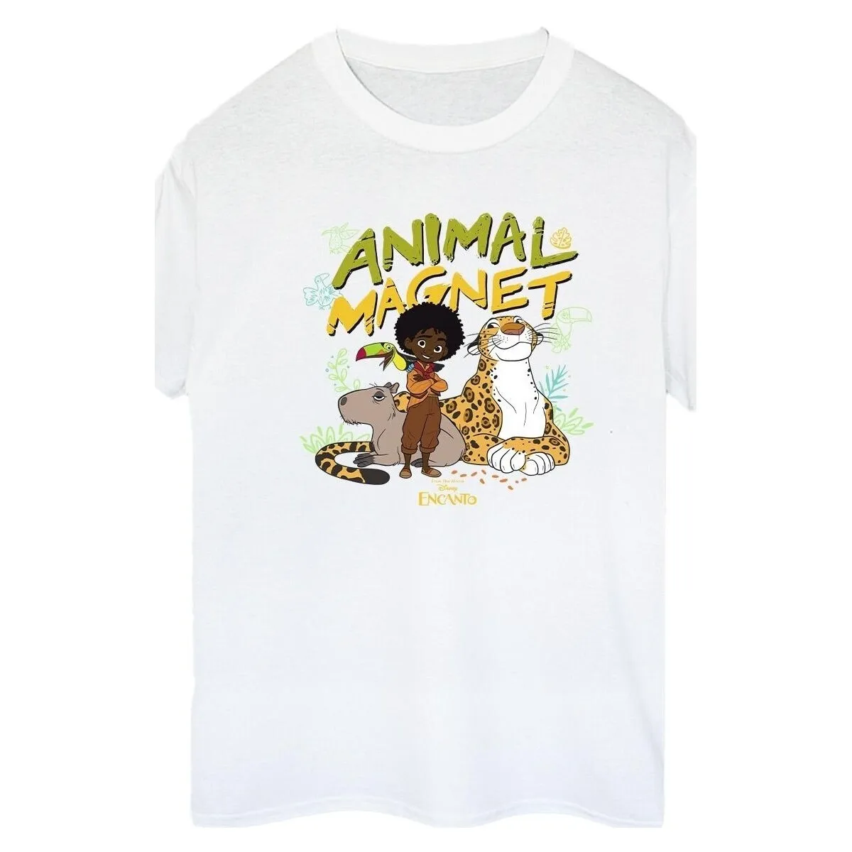 Encanto Animal Magnet