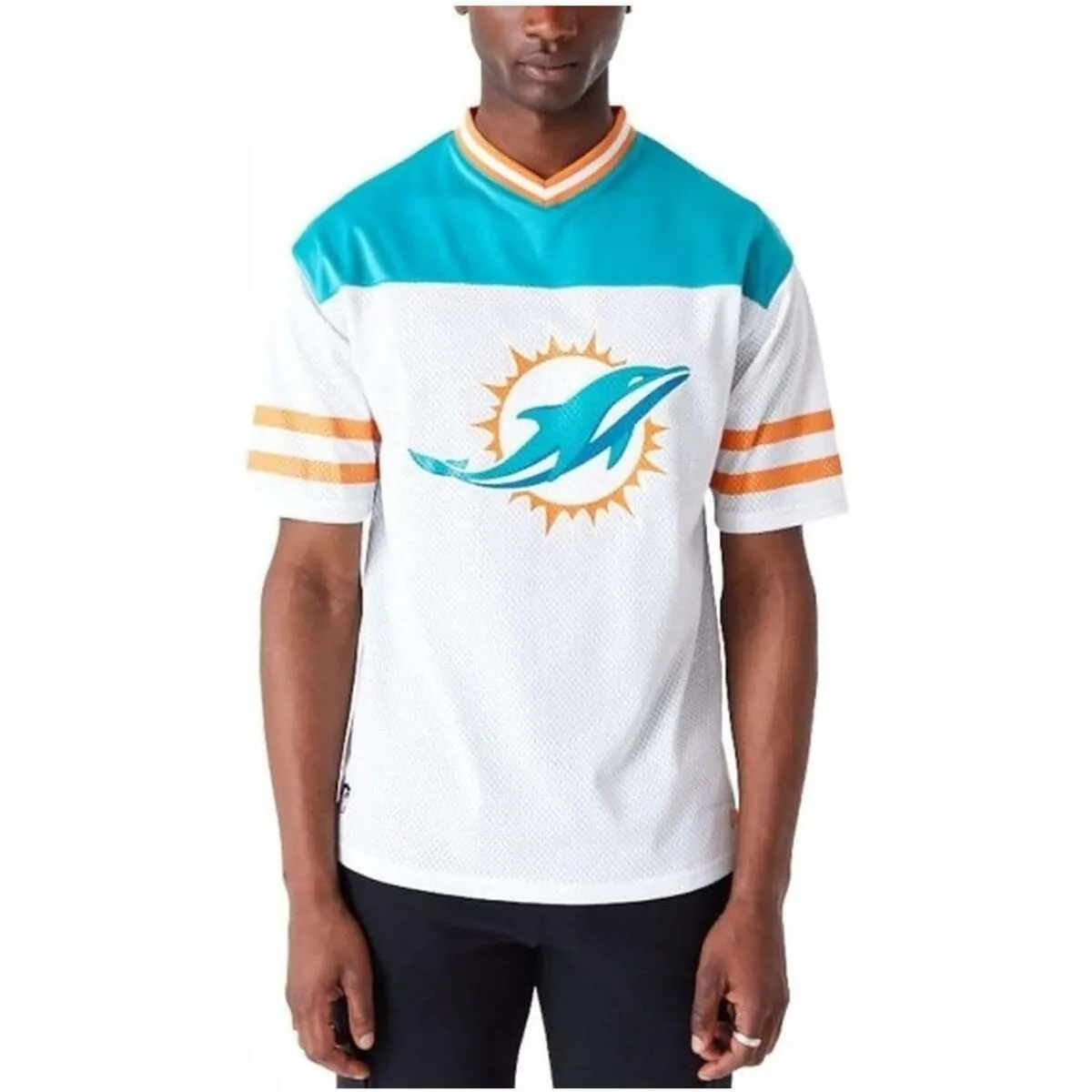 Miami Dolphins NFL Wordmark Graphic