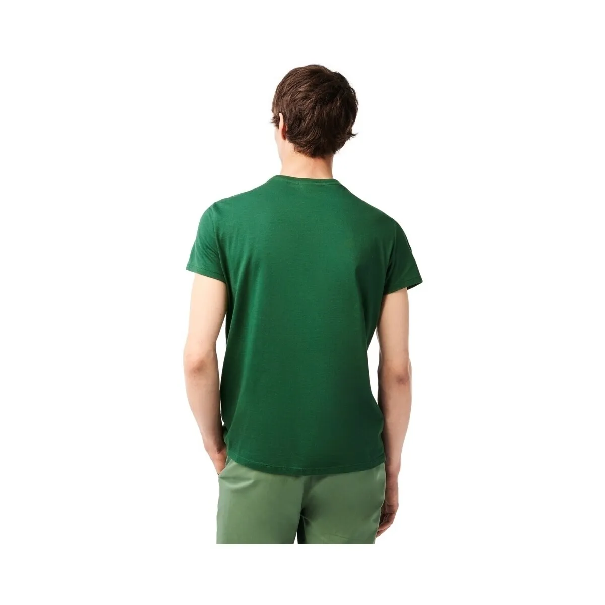 PIMA COTTON TSHIRT  VERT