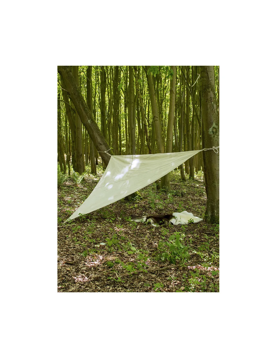 Toldo triangular con cuerda para acampada medieval, 4m.